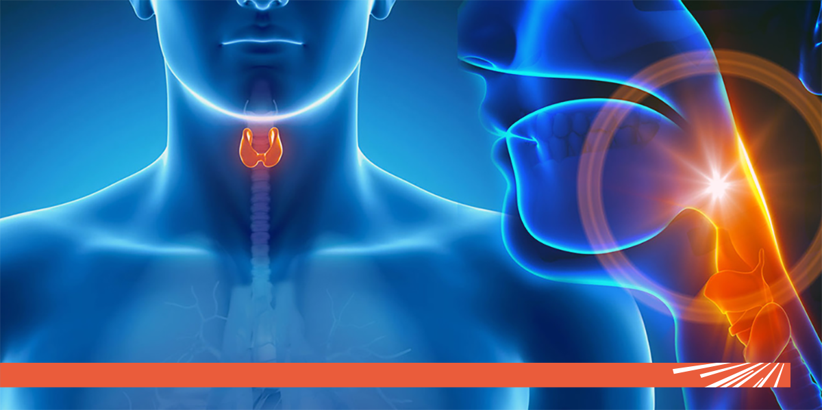 Endocrinologie